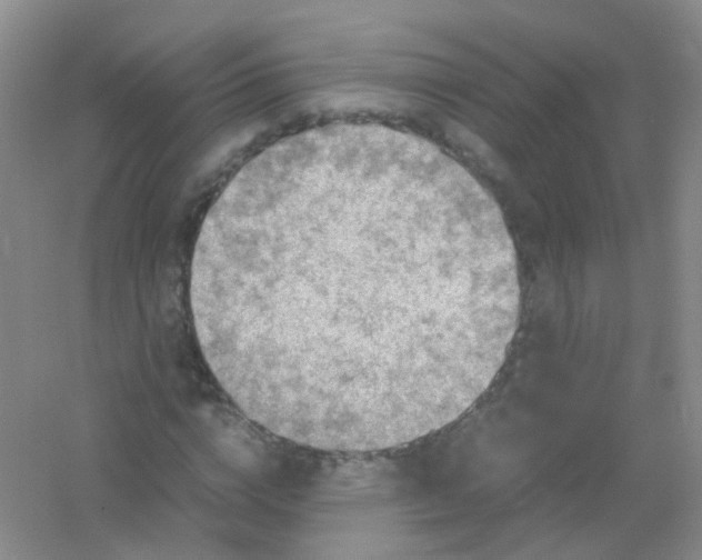 X0000054470824200508122001