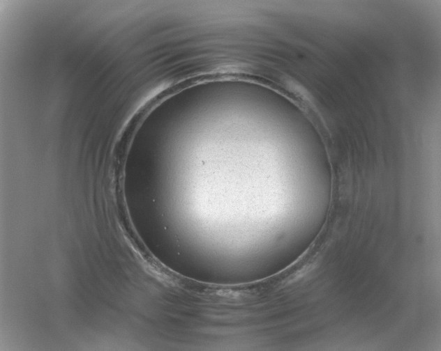 X0000054470827200508122001