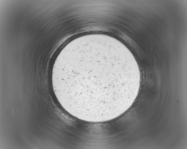 X0000054470828200508122001