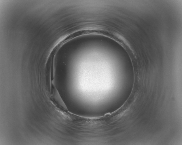 X0000054470829200508122001