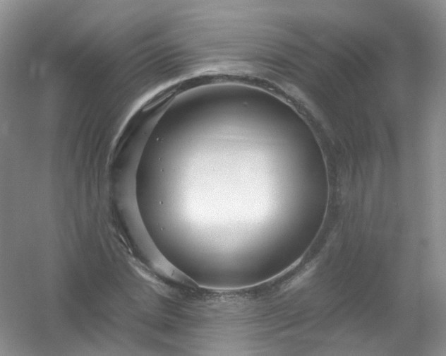 X0000054470830200508122001