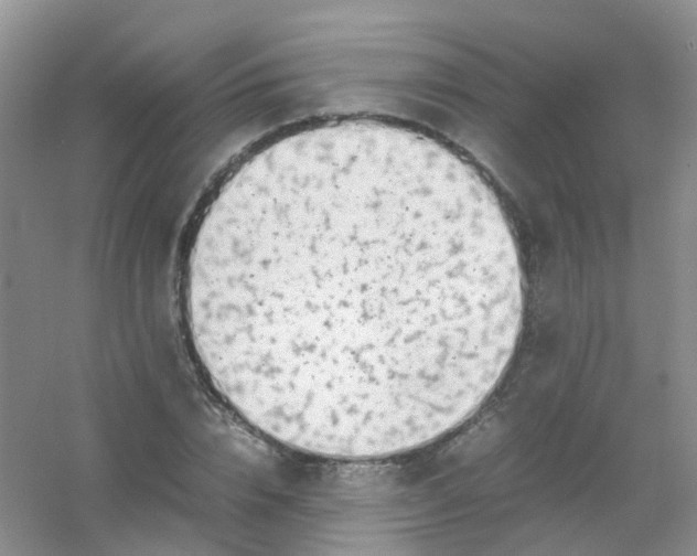 X0000054470832200508122001