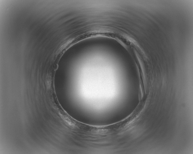 X0000054470833200508122001