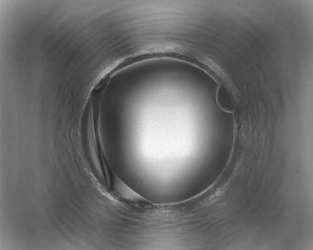 X0000054470834200508122001