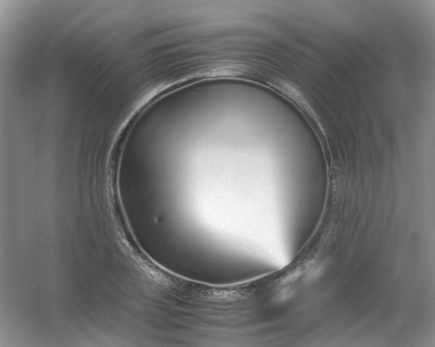 X0000054470835200508122001