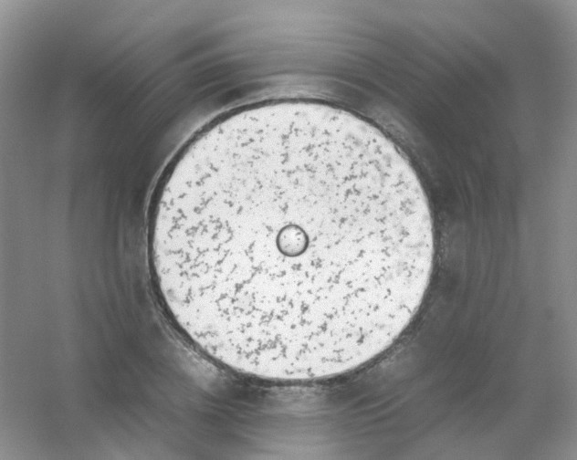 X0000054470836200508122001