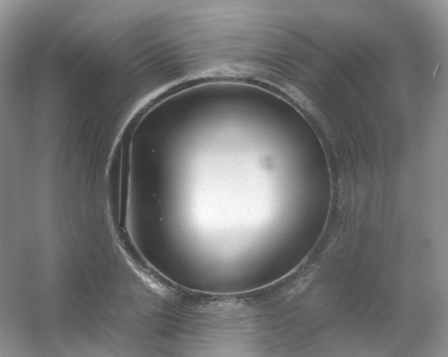 X0000054470838200508122001