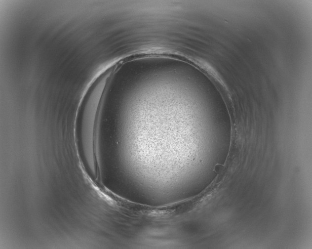 X0000054470839200508122001