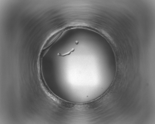 X0000054470840200508122001