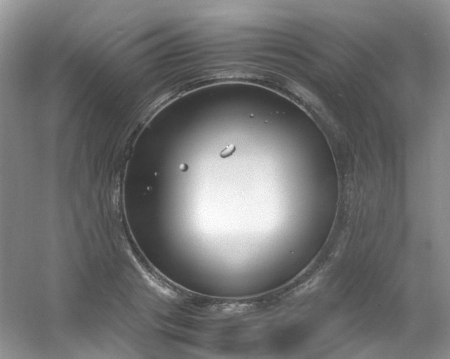 X0000054470841200508122001