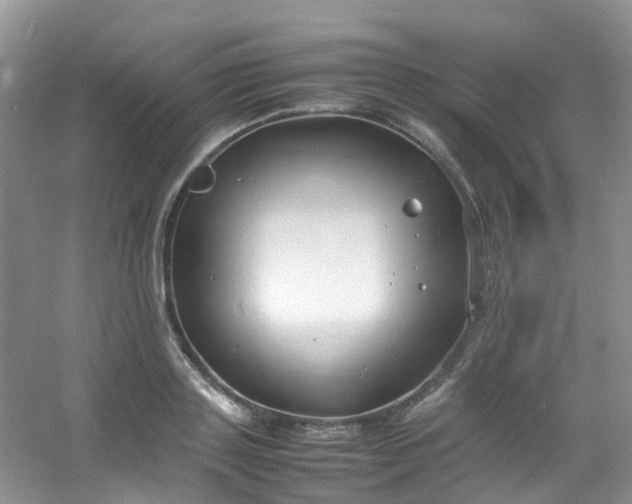 X0000054470843200508122001