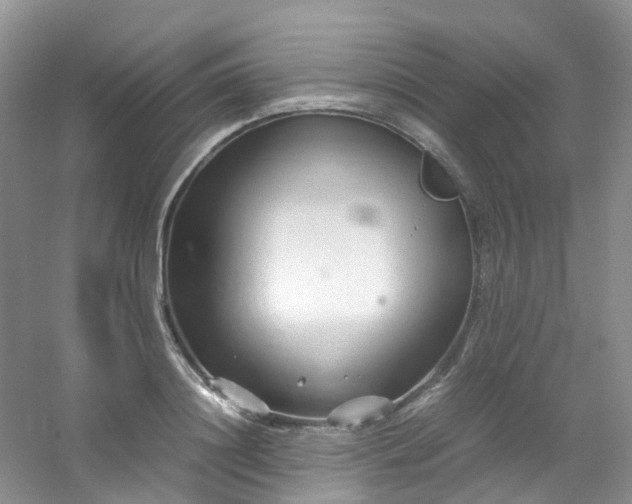 X0000054470844200508122001