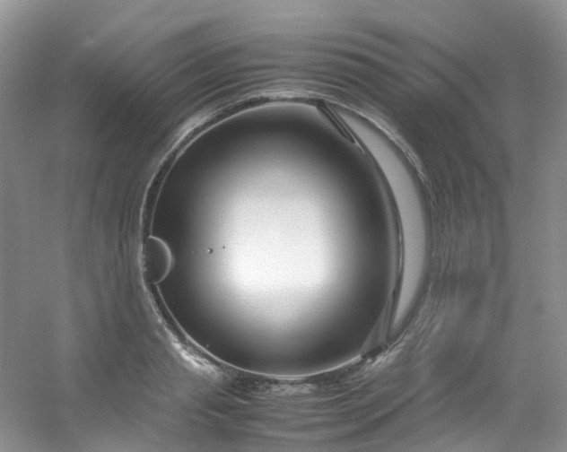 X0000054470845200508122001