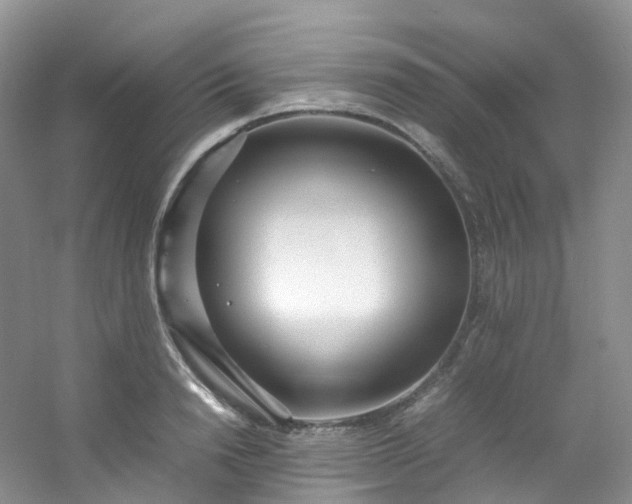 X0000054470846200508122001