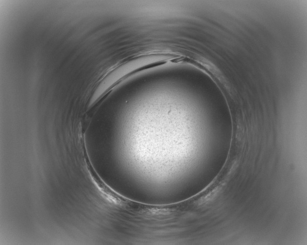 X0000054470849200508122001