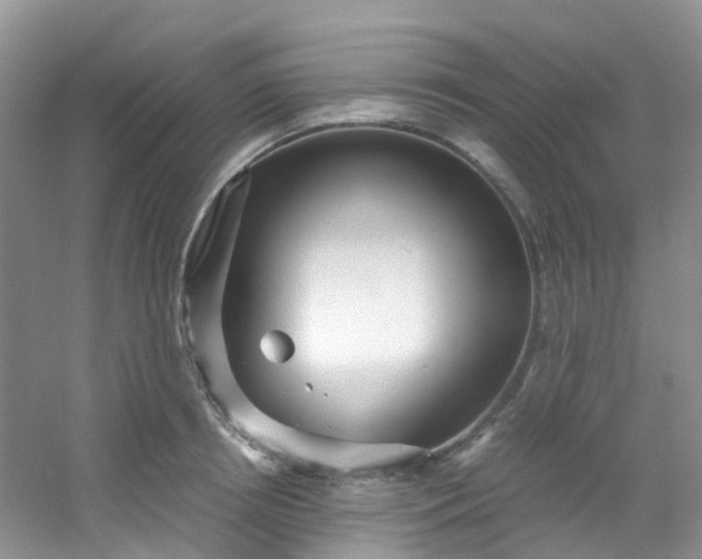 X0000054470850200508122001