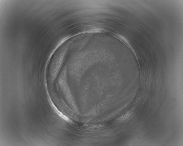 X0000054470851200508122001