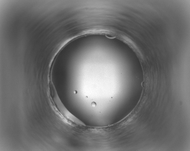 X0000054470852200508122001