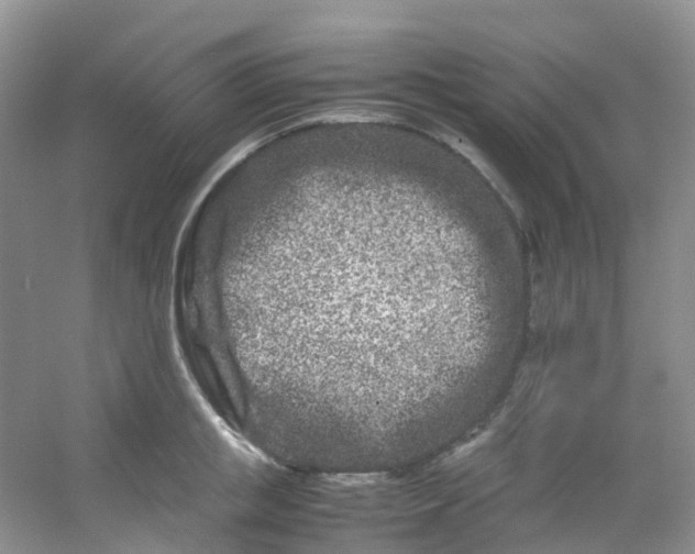 X0000054470853200508122001