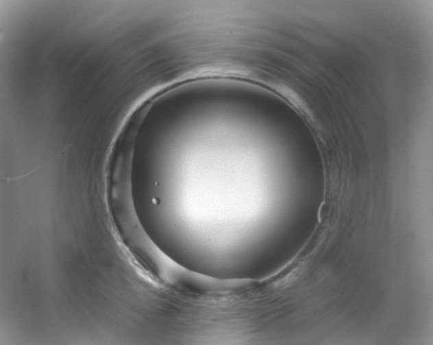 X0000054470854200508122001