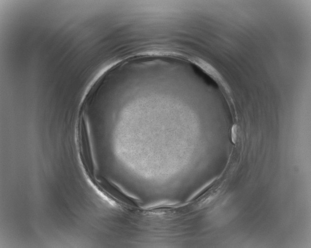 X0000054470855200508122001