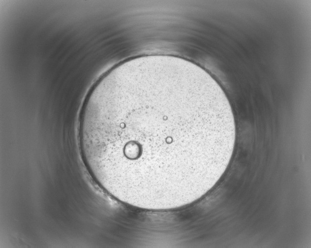 X0000054470856200508122001