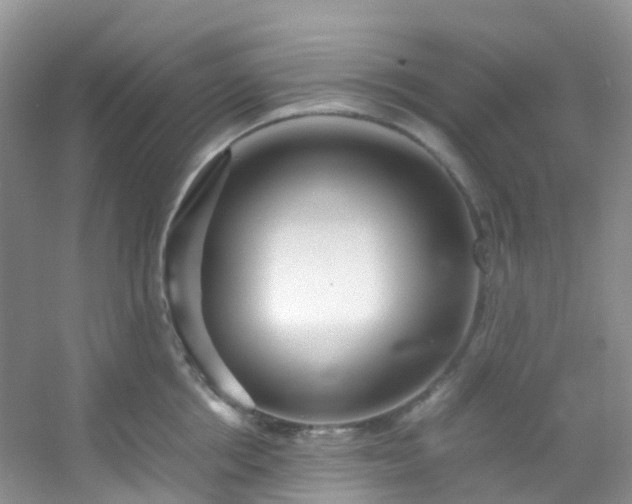 X0000054470858200508122001