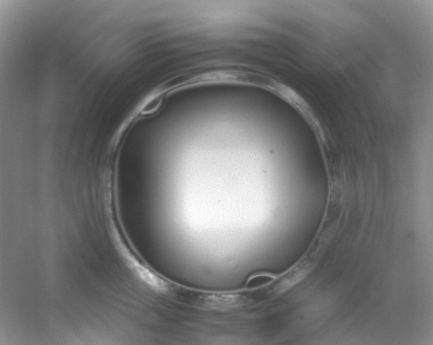 X0000054470859200508122001