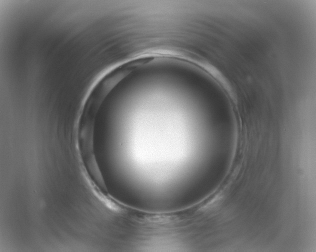 X0000054470862200508122002