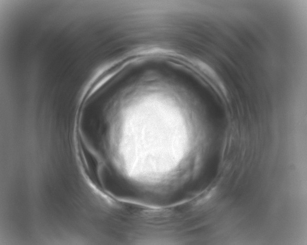 X0000054470863200508122002