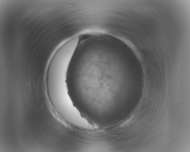 X0000054470864200508122002