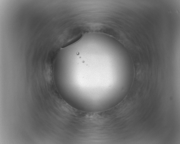 X0000054470866200508122001