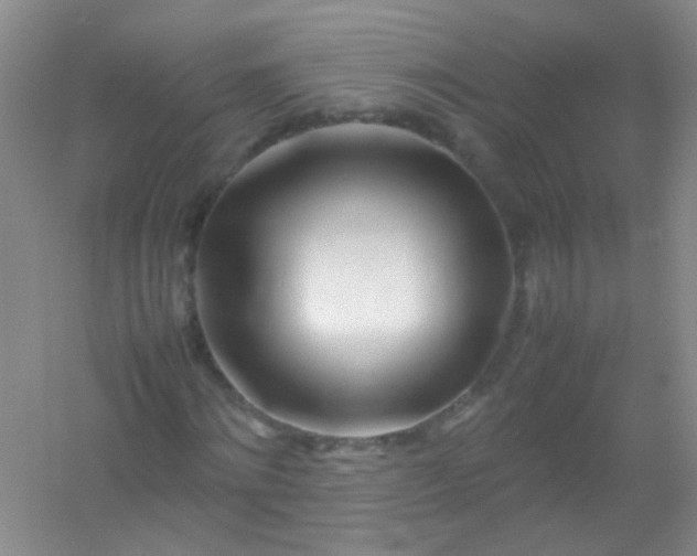 X0000054470868200508122001