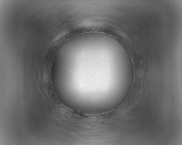 X0000054470869200508122001