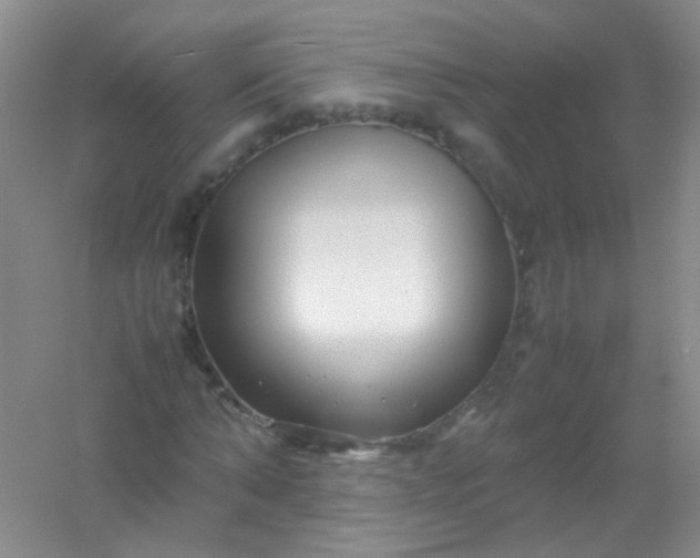 X0000054470870200508122001