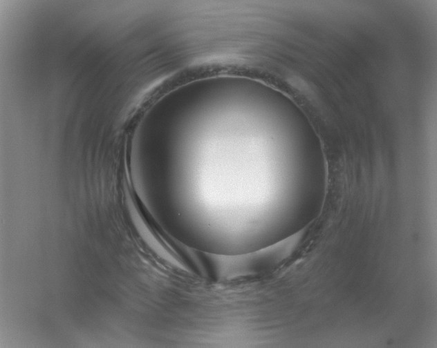 X0000054470872200508122001