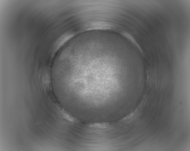 X0000054470874200508122001