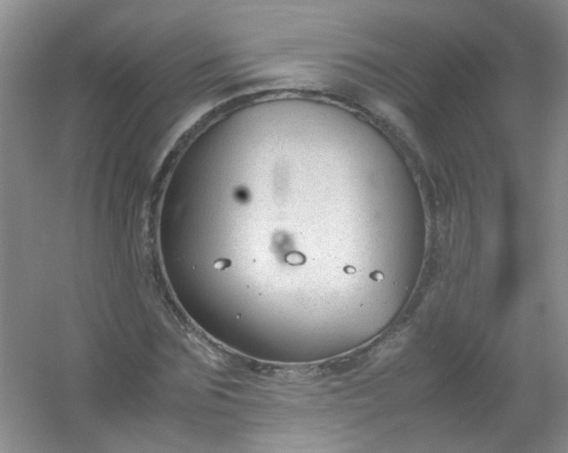 X0000054470875200508122001