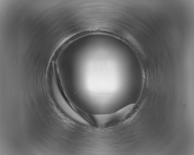 X0000054470876200508122001