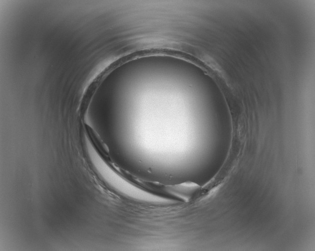 X0000054470877200508122001