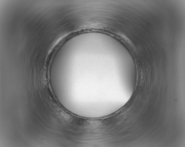 X0000054470878200508122001