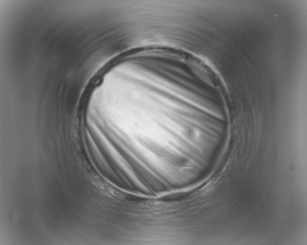 X0000054470879200508122000