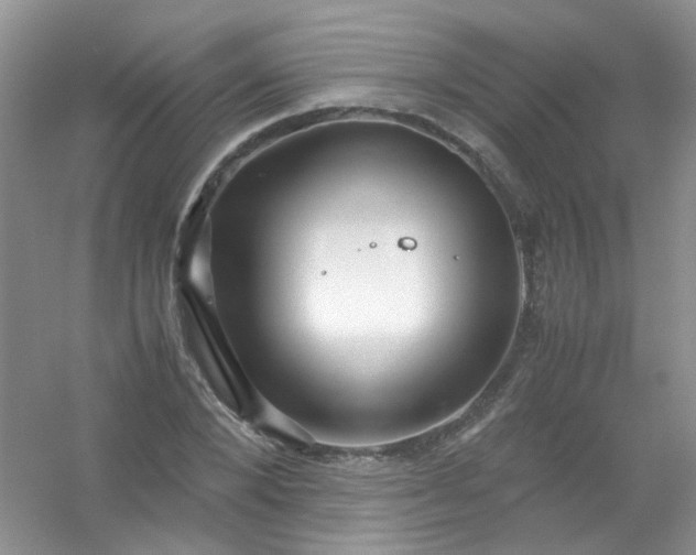 X0000054470880200508122000