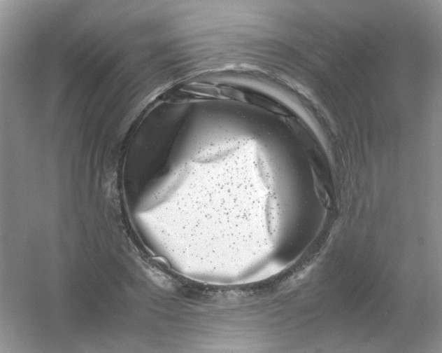 X0000054470881200508122000