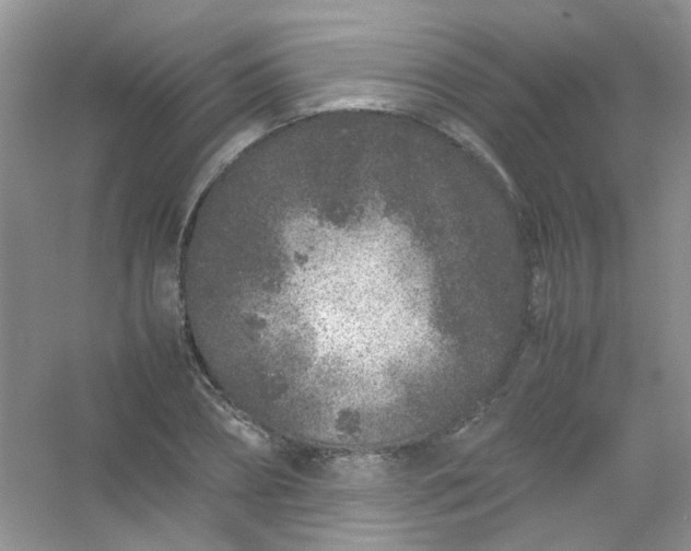 X0000054470882200508122000