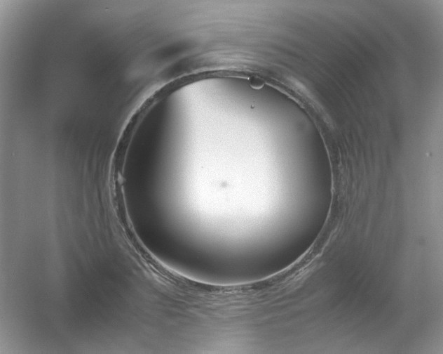 X0000054470883200508122000