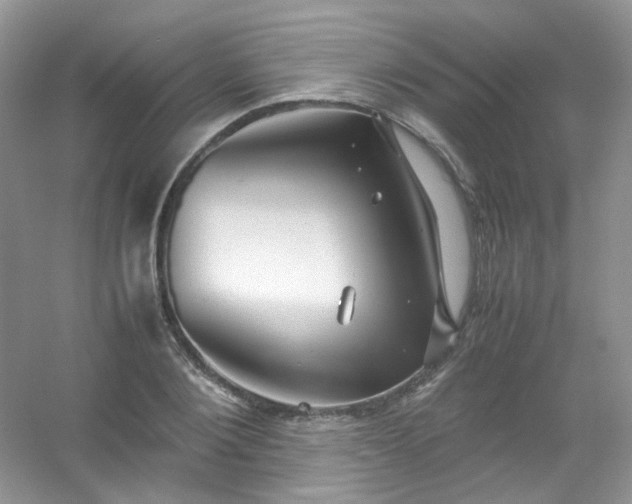 X0000054470884200508122000