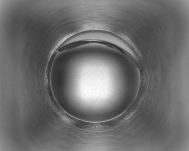 X0000054470885200508122000