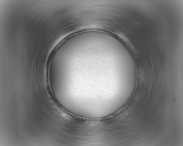 X0000054470886200508122000