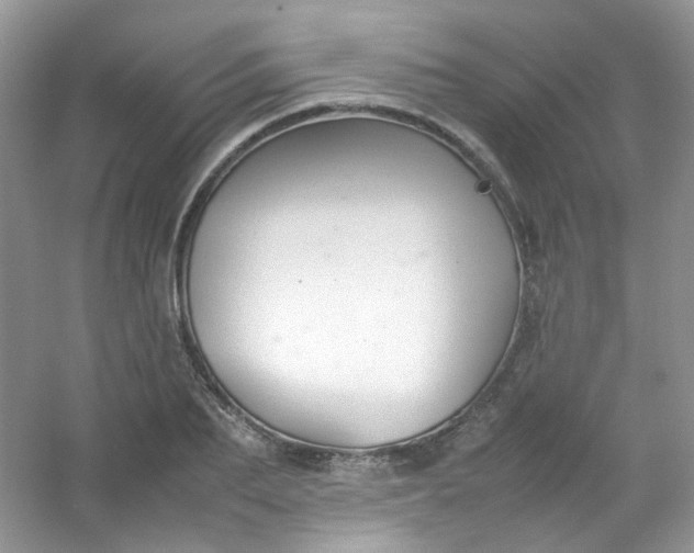 X0000054470887200508122000